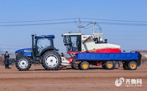 这就是山东 雷沃引领农机化转型升级，为乡村振兴注入强劲动力
